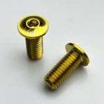 1 con Ốc bình nước đầu dẹp, Ti-parts Flat Head Titanium Bolts For Bottle Cage Mounts - Ảnh 10